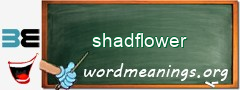 WordMeaning blackboard for shadflower